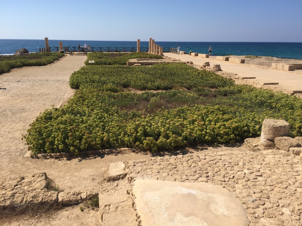 Israel 27 green area with plants is the remains of the court where Paul testified before Agrippa and Festus