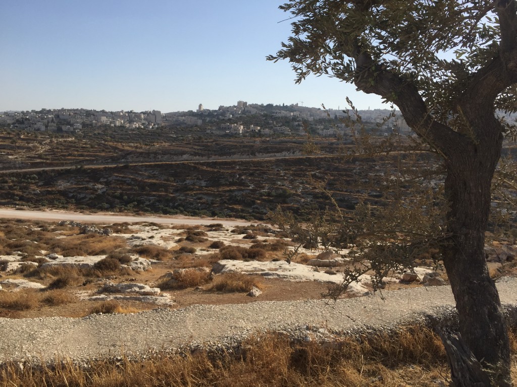 Israel 45 view of Bethlehem