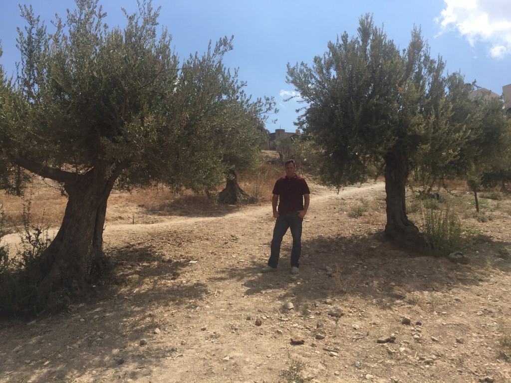 Israel 49 Mount of Olives by two olive trees