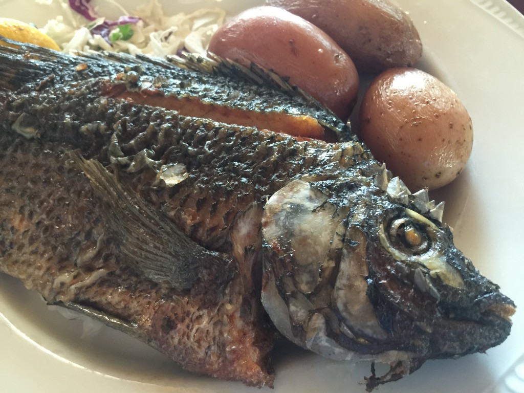 Israel 9 Fish from Sea of Galilee lunch